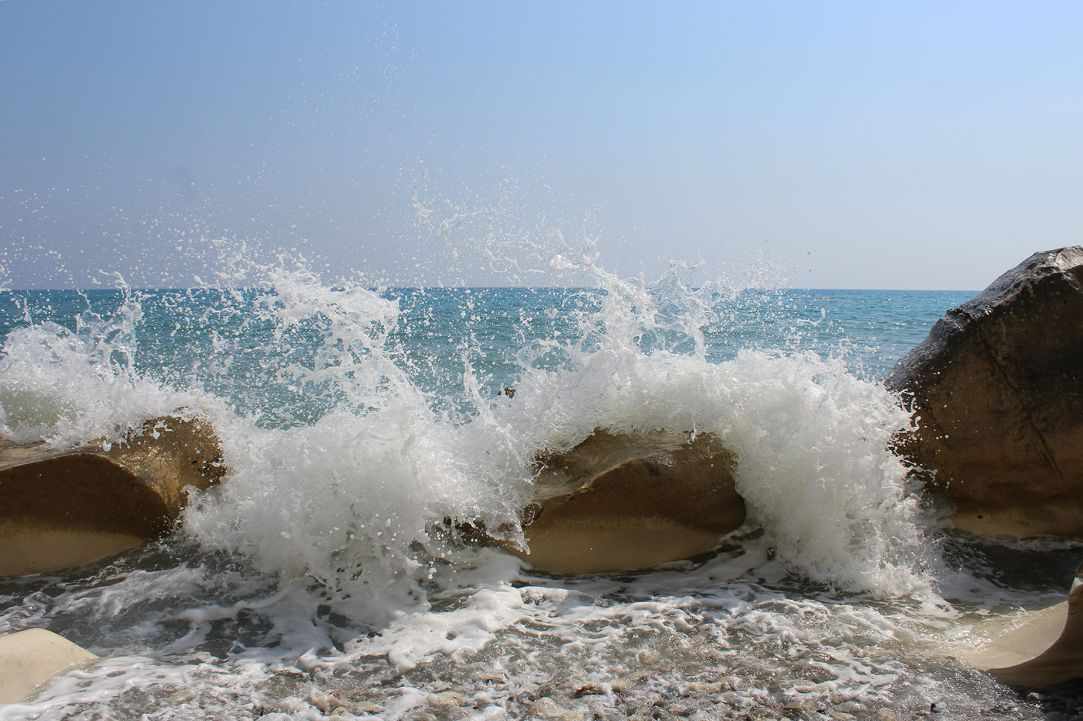 Dog Friendly Beaches in Cyprus