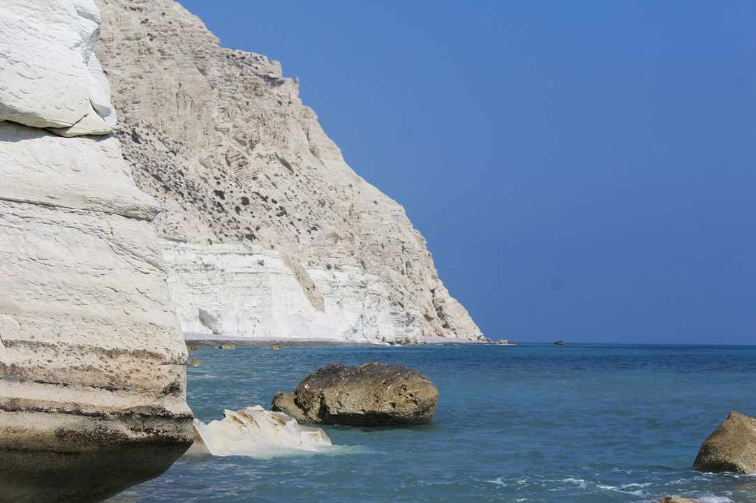 Dog Friendly Beaches in Cyprus