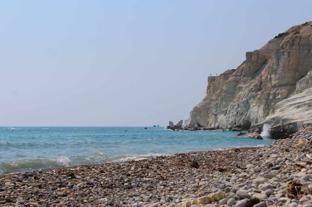Dog Friendly Beaches in Cyprus