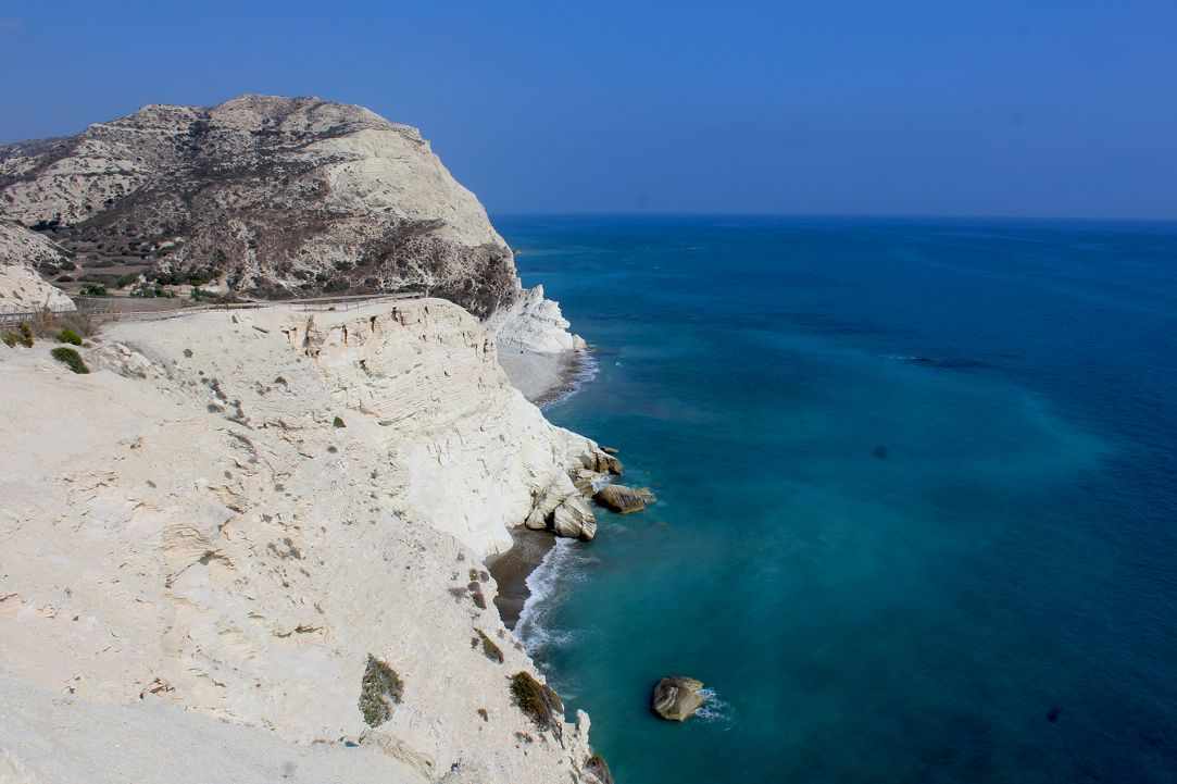 Dog Friendly Beaches in Cyprus