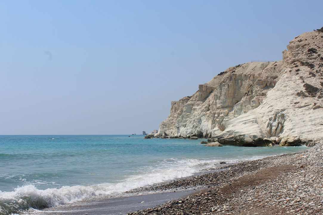 Dog Friendly Beaches in Cyprus