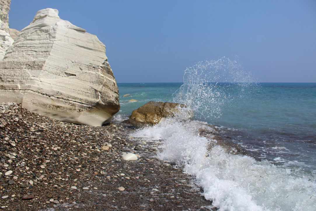 Dog Friendly Beaches in Cyprus