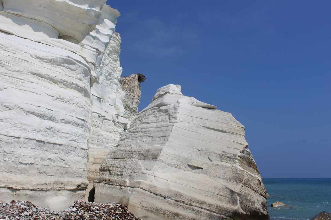 Dog Friendly Beaches in Cyprus