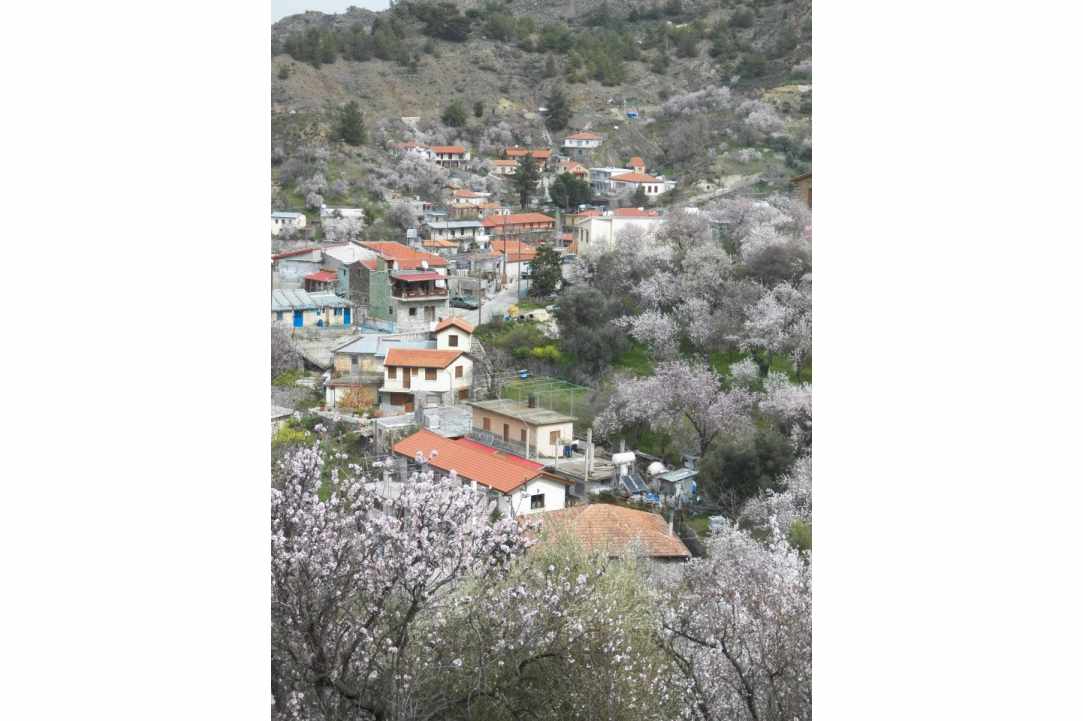 Το χωριό Πλατανιστάσα