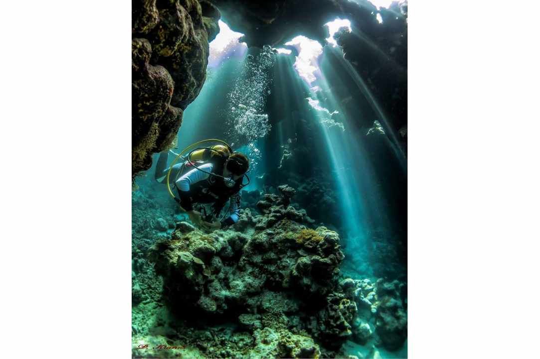 PADI Women's Dive Day 2017