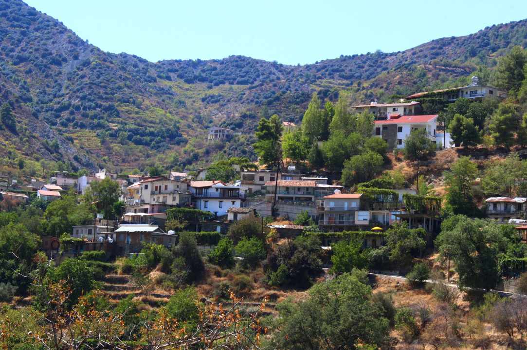 Φουντουκιές Πολύστυπος