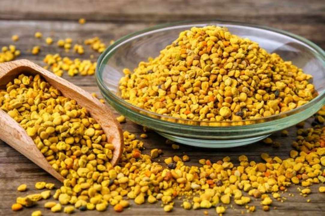 The bee's "bread" and its benefits