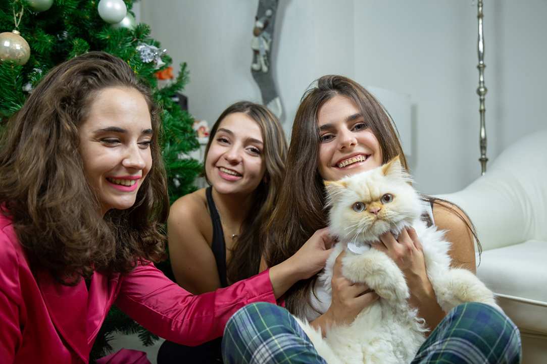 Gen Z & Γάτες: Η πιο cool φιλία της εποχής