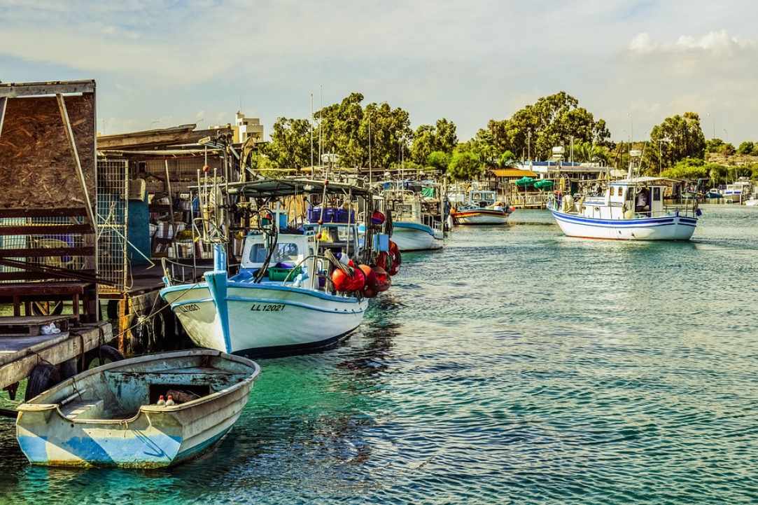 Ο Ποταμός του Λιοπετριού