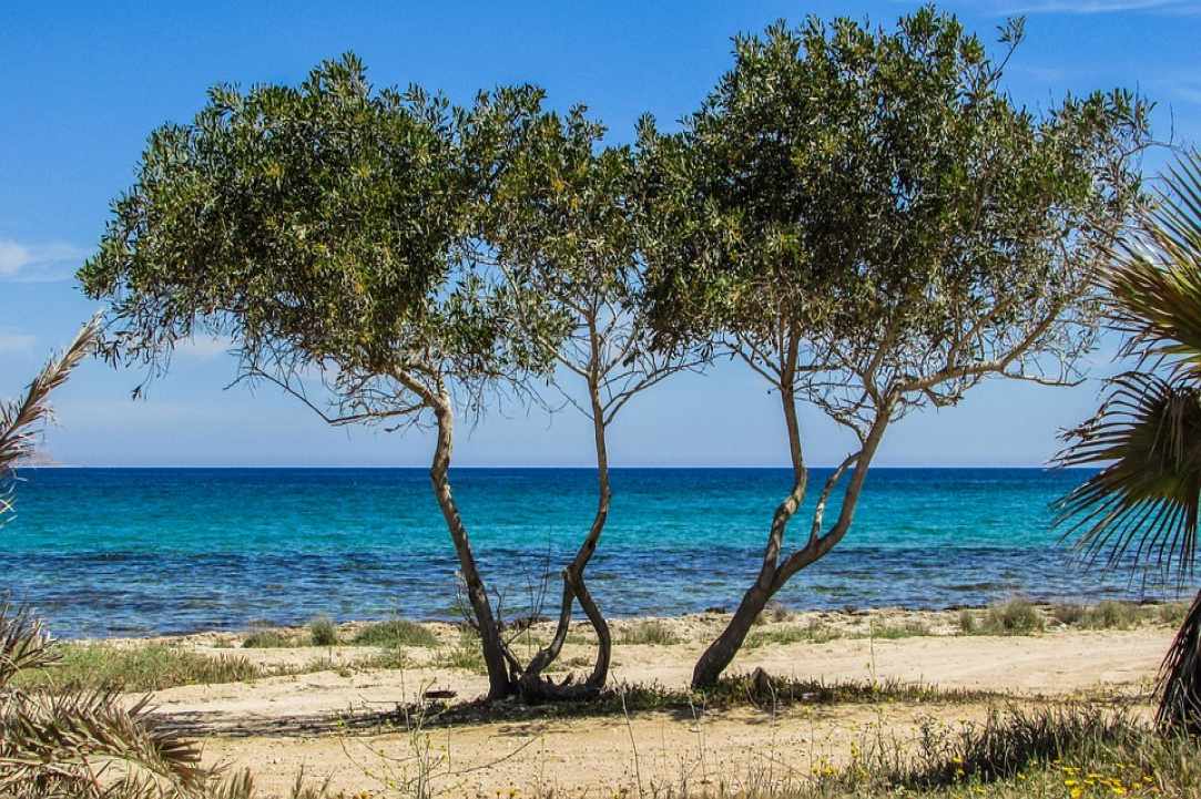 Ο Ποταμός του Λιοπετριού