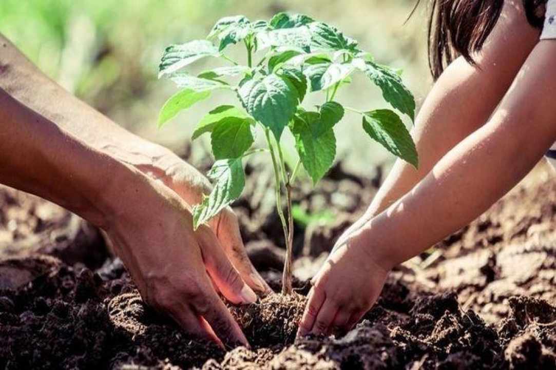 Πρασινίζω τα σχολεία-Πρασινίζω τη γειτονιά μου