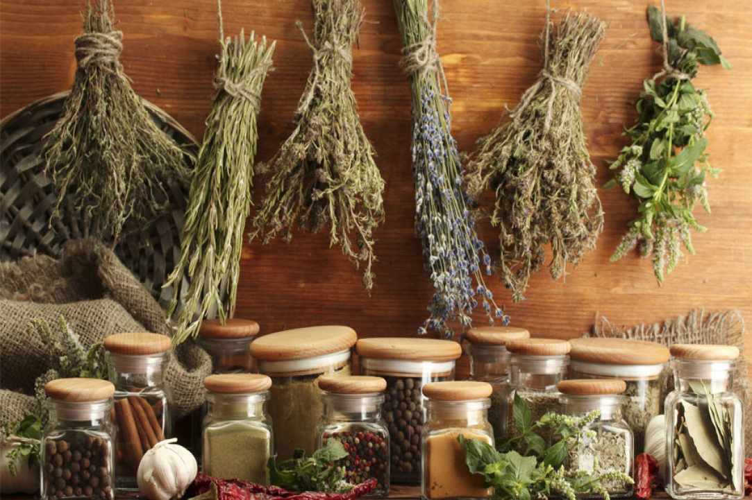 Herbs and Spices of Cyprus - more than 600 different types exist in Cyprus
