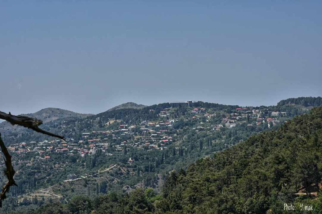 Πρόδρομος