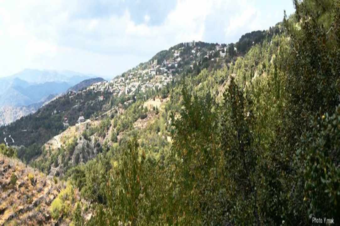 Πρόδρομος