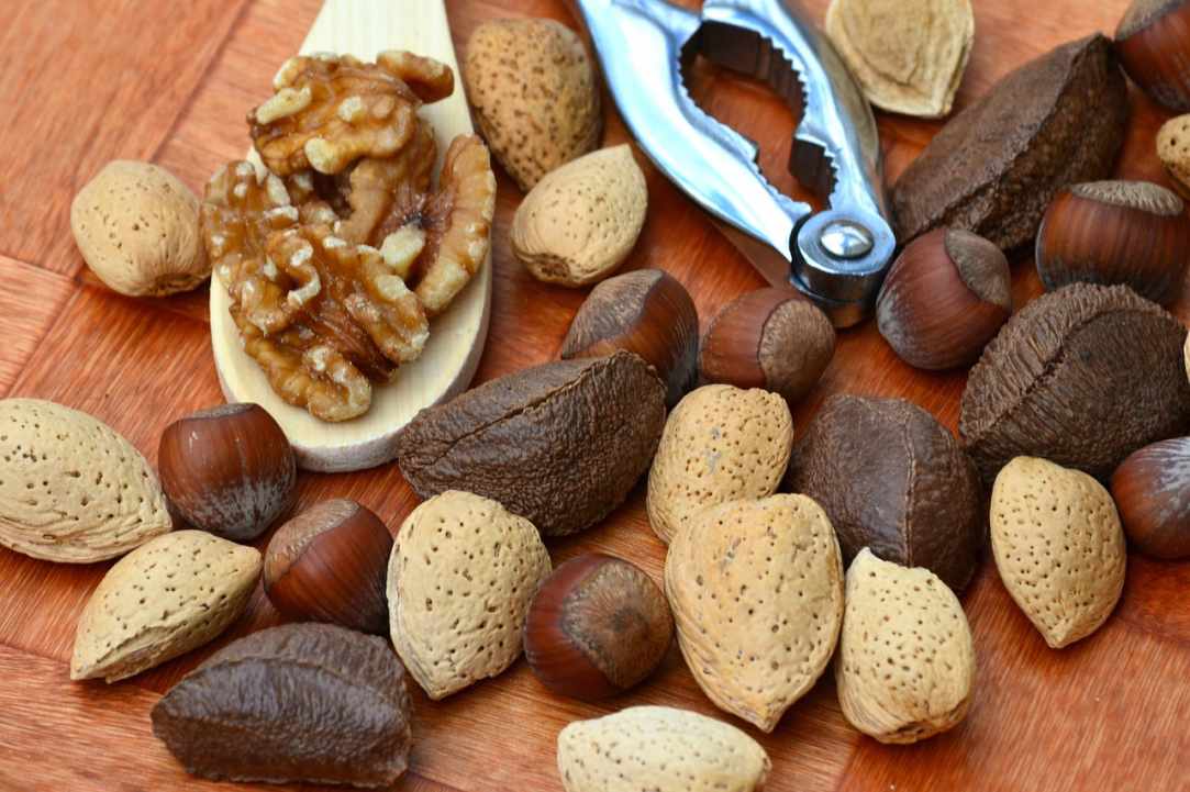 Η σημασία της διατροφικής πρωτεΐνης
