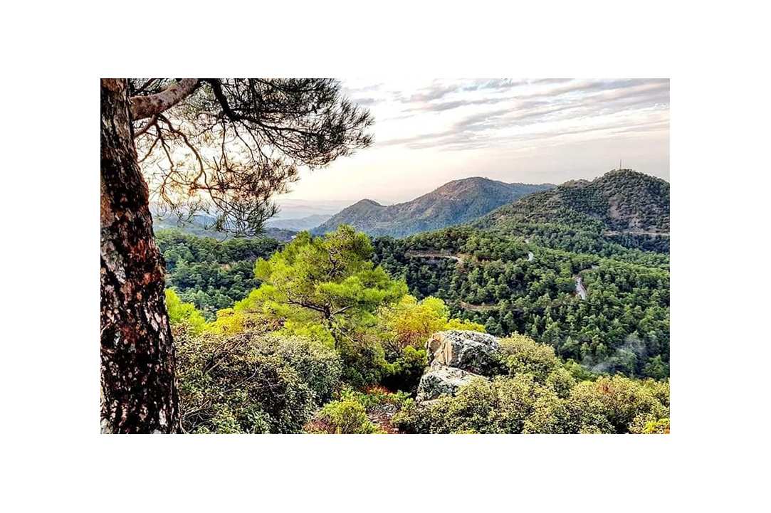Τρείς cozy παραδοσιακές επαύλεις  στο βουνό με τζακούζι, σάουνα, cinema, BBQs σε περιμένουν για χαλάρωση και ηρεμία για αξέχαστη διαμονή