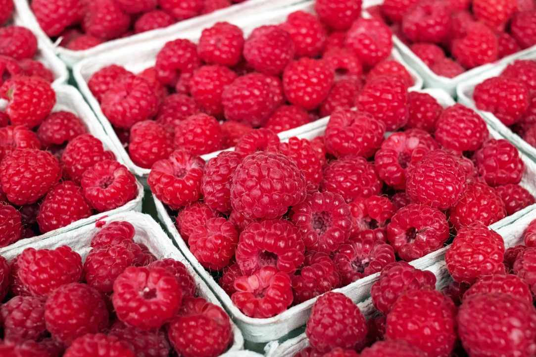 Σμέουρα (Rasberries):