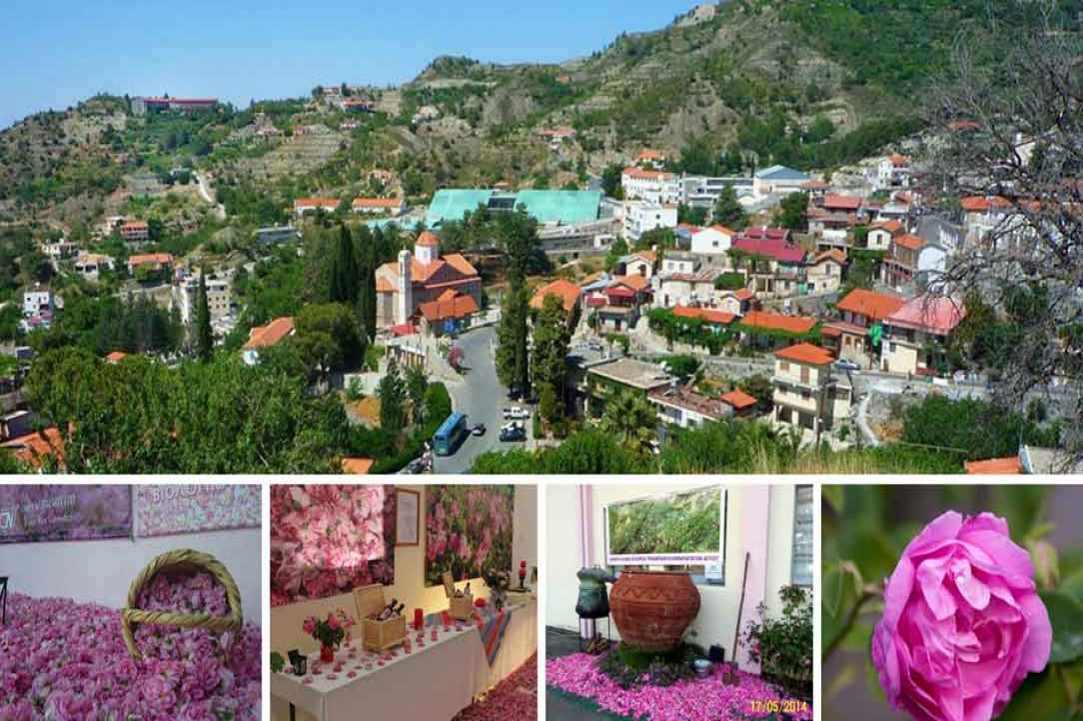 11 Τhe rose festival - Μay 2017 gallery image 1