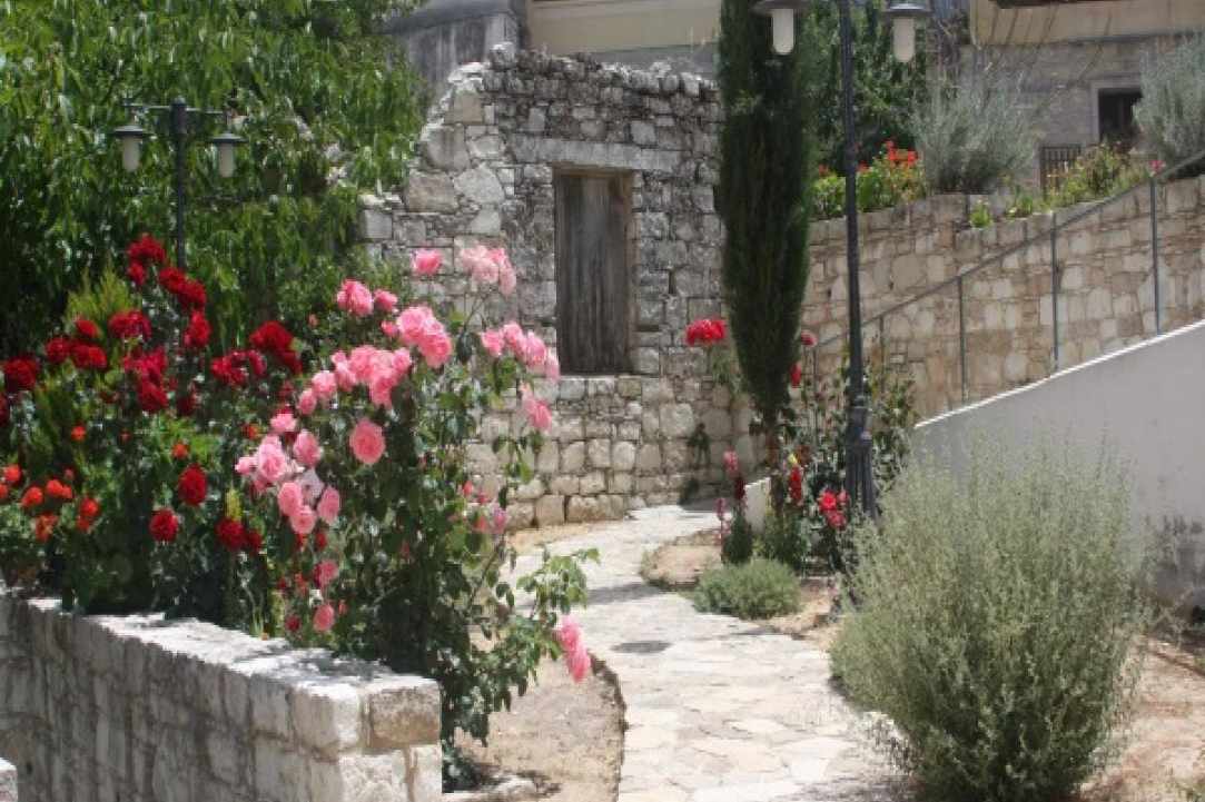 Εκδηλώσεις στο χωριό Σαλαμιού στην Πάφο