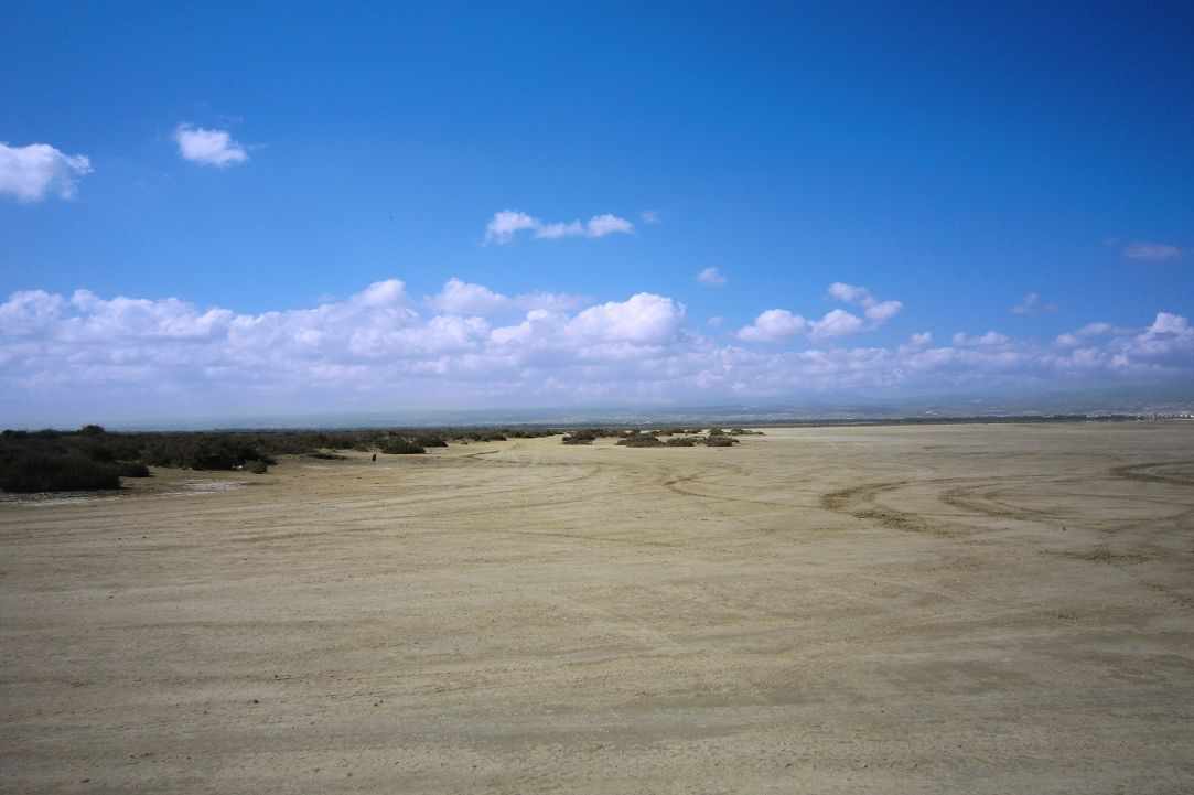 Saltlake of Akrotiri Limassol