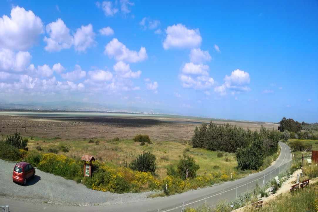 Saltlake of Akrotiri Limassol