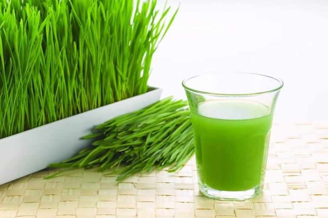 Organic Barley Grass  - the new Superfood now in Cyprus!