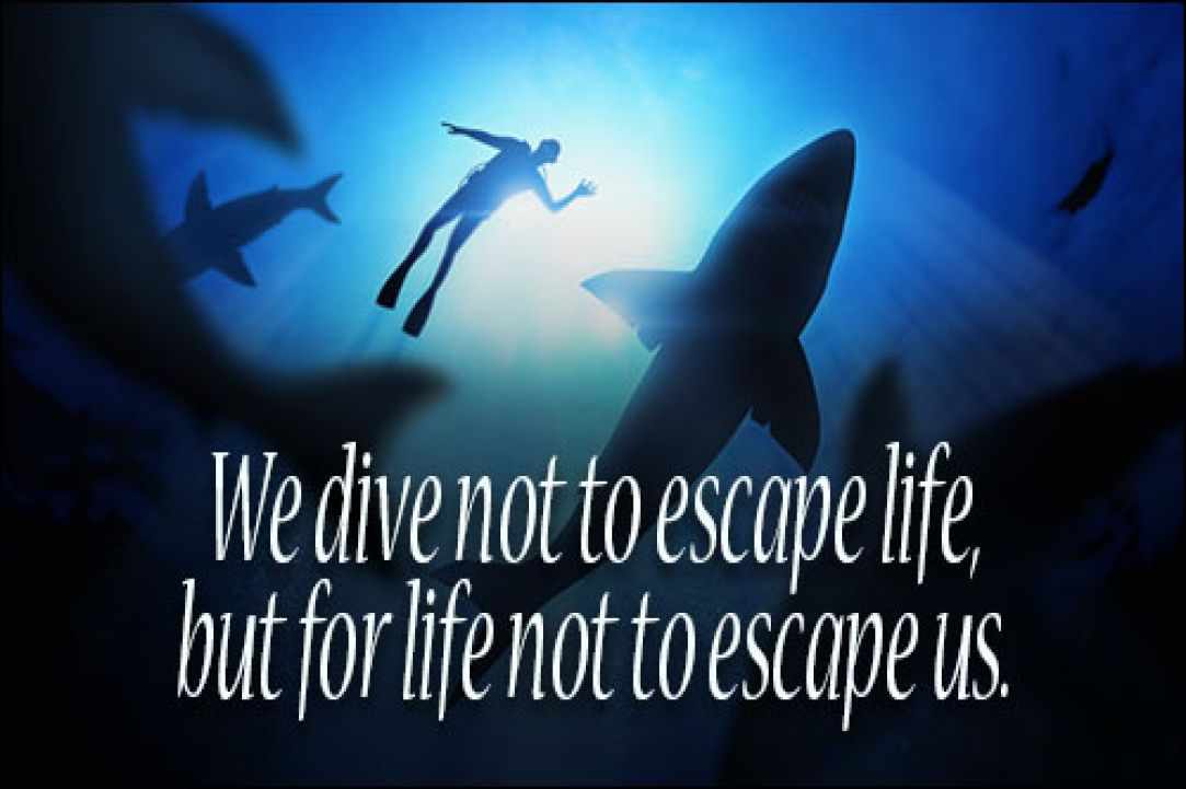 The 7 changes Scuba Diving 