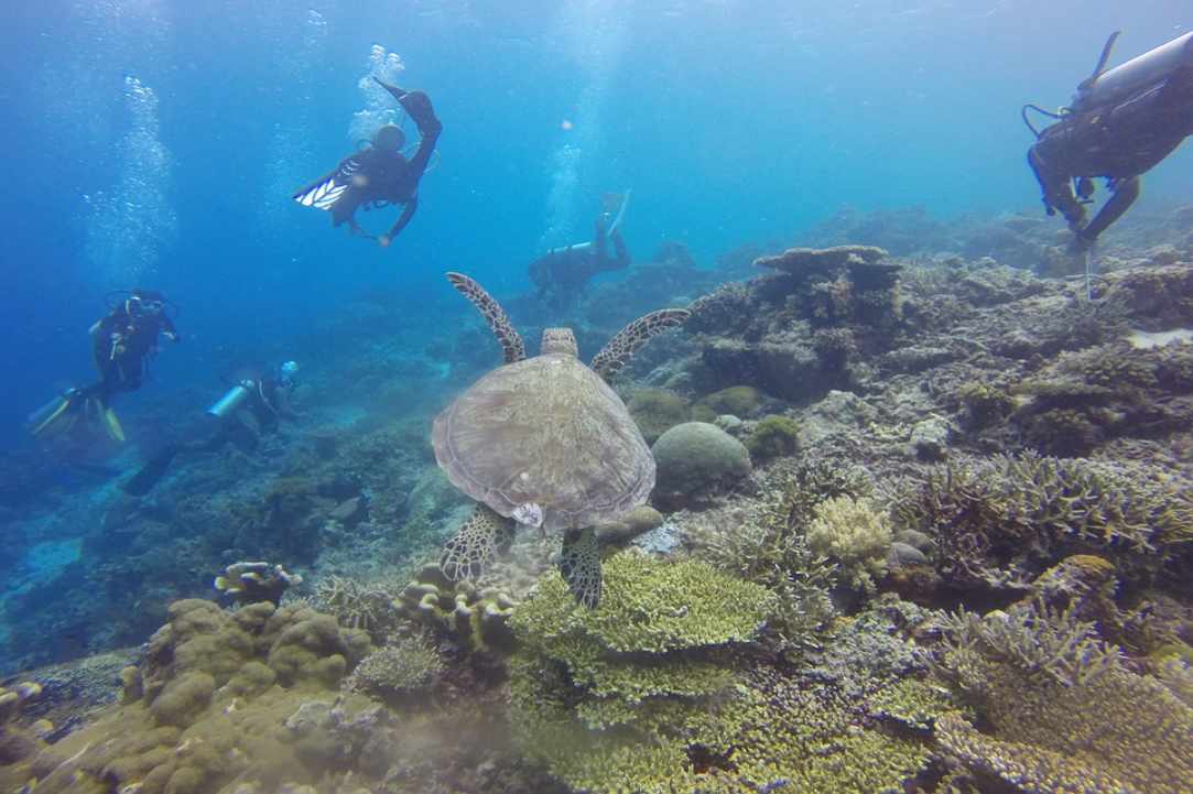 Diving in Cyprus