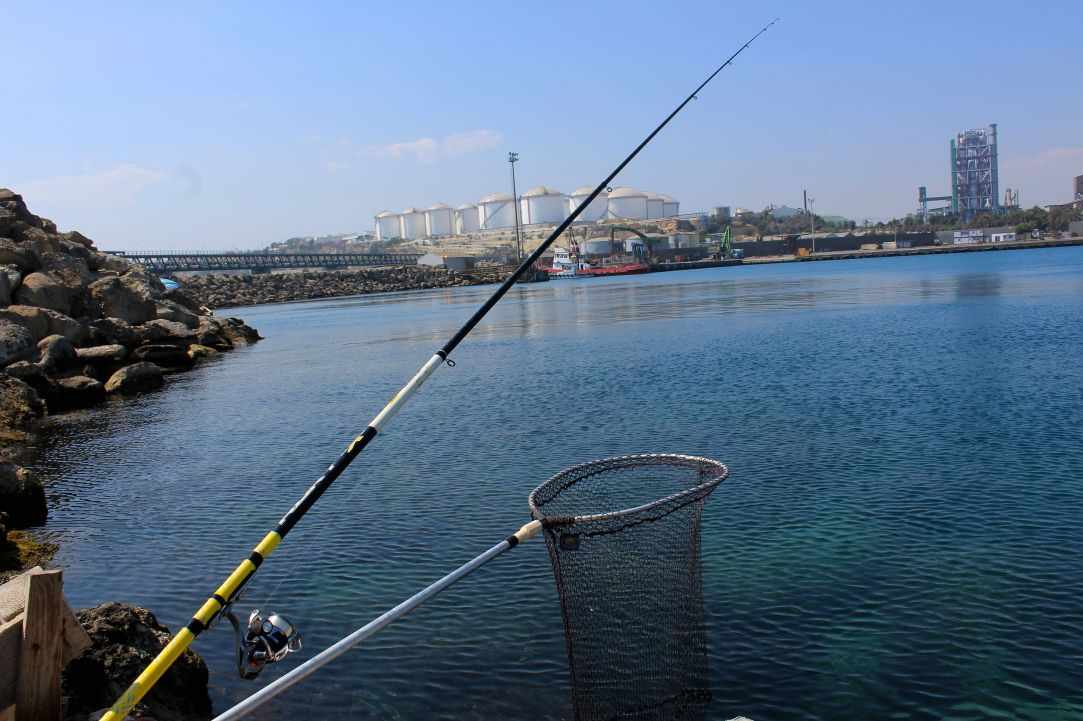 Simple fishing in Cyprus