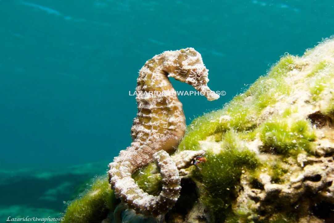 November dive in Cyprus