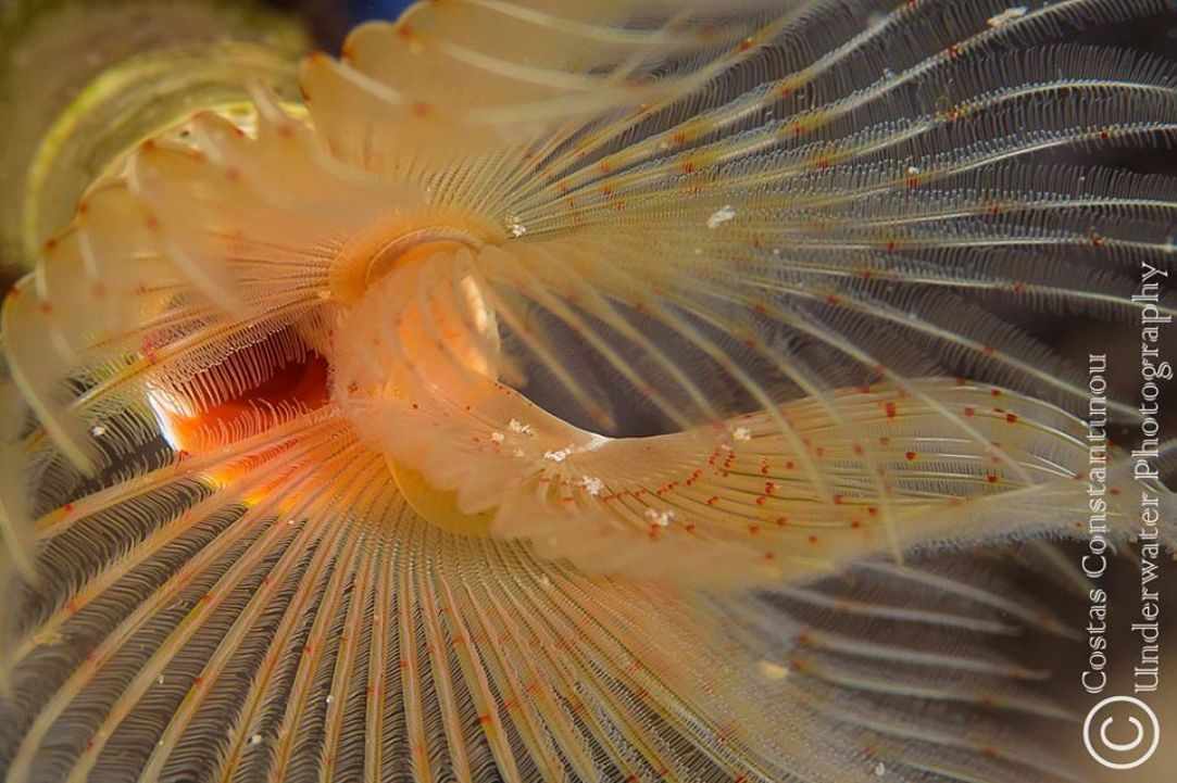 November dive in Cyprus
