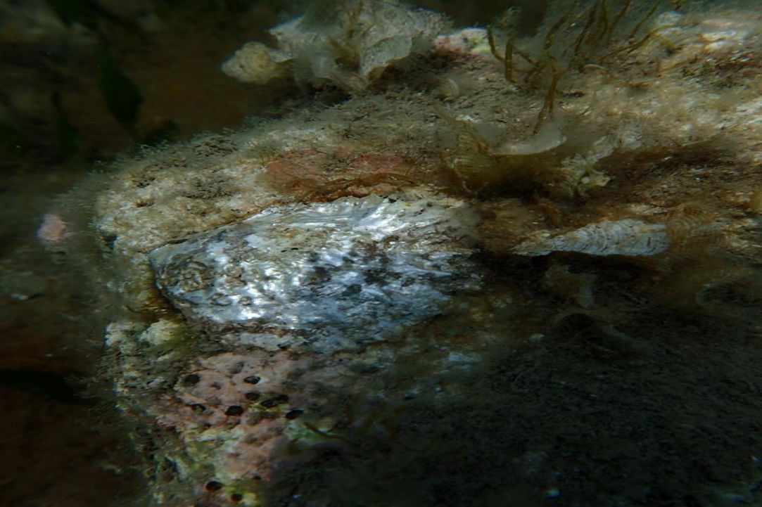 November dive in Cyprus