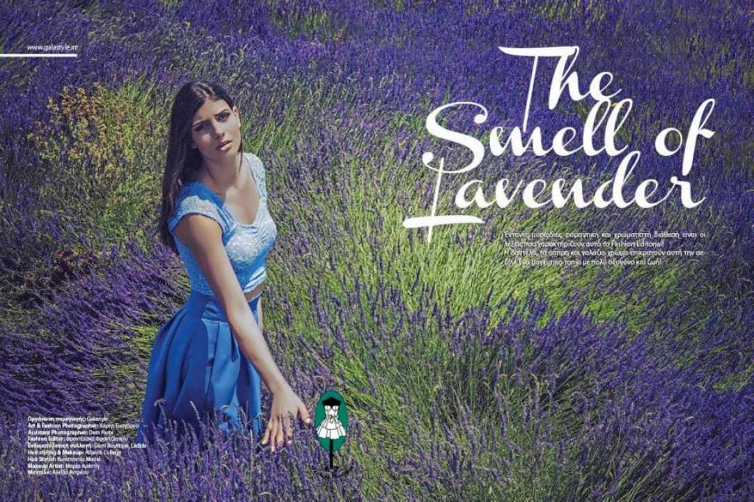 Lavender Festival 2016