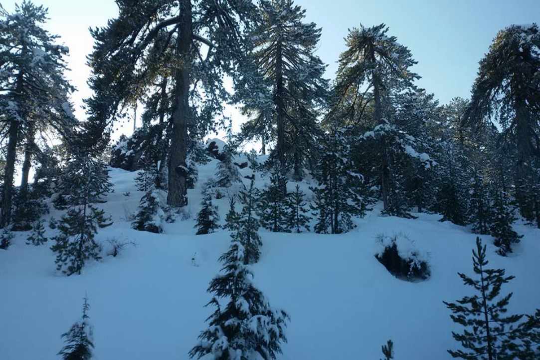 Troodos