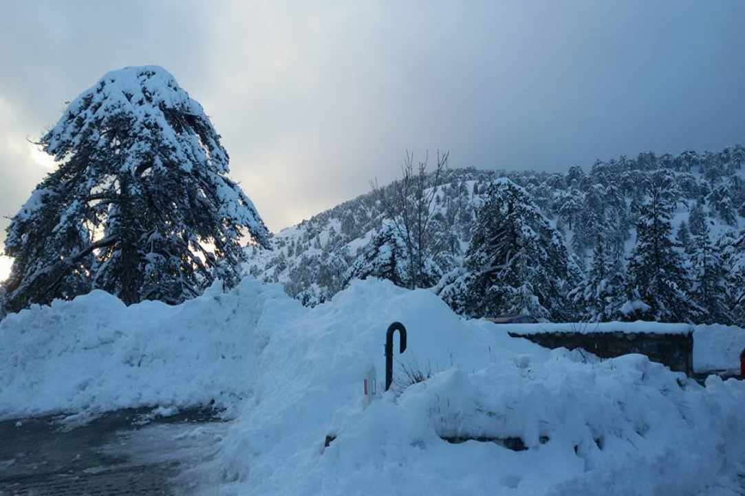 Troodos