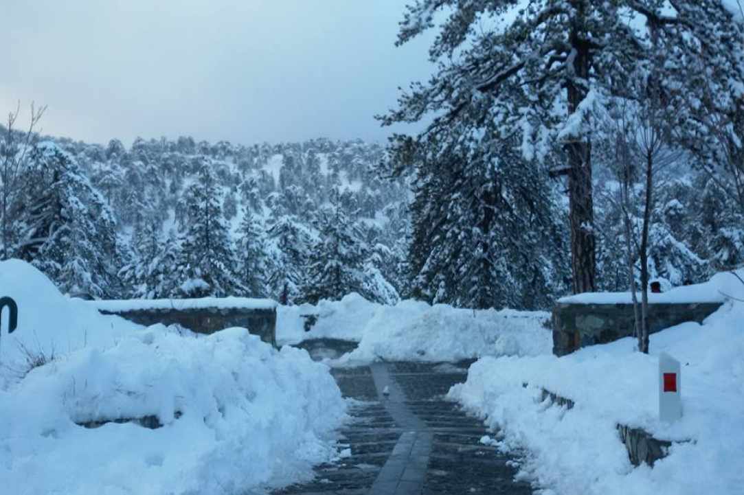 Troodos