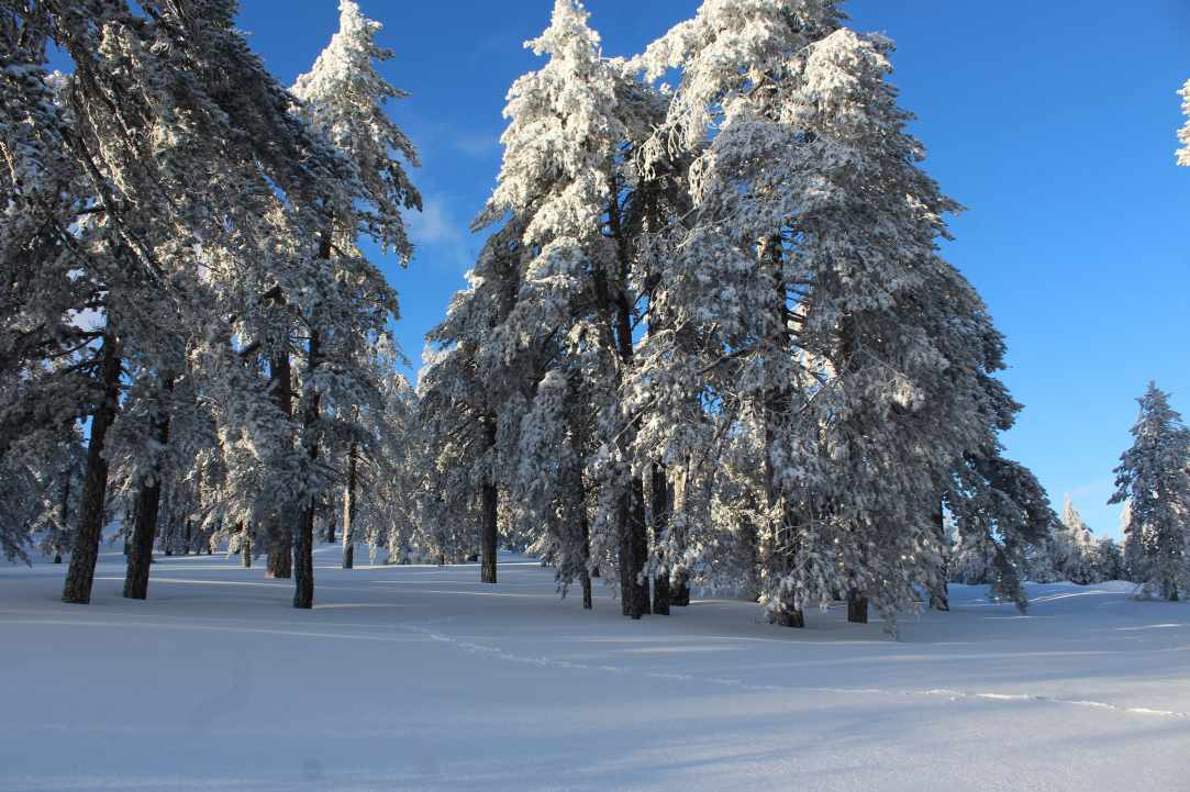 Snowy Mountains of Troodos