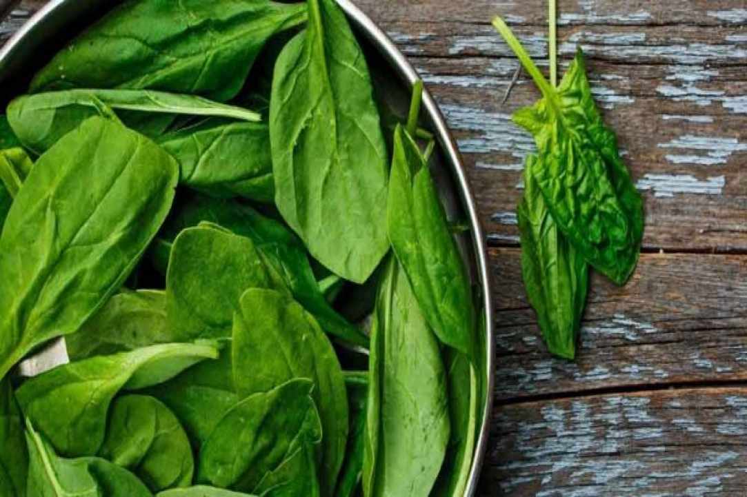 Οι Καλύτερες Πηγές Φυτικής Πρωτεΐνης