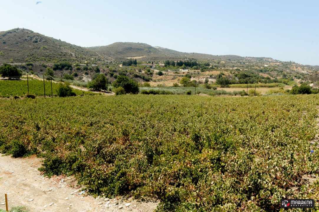 Η Ορεινή Λάρνακα Άριστος Ευρωπαϊκός Προορισμός για την Κύπρο