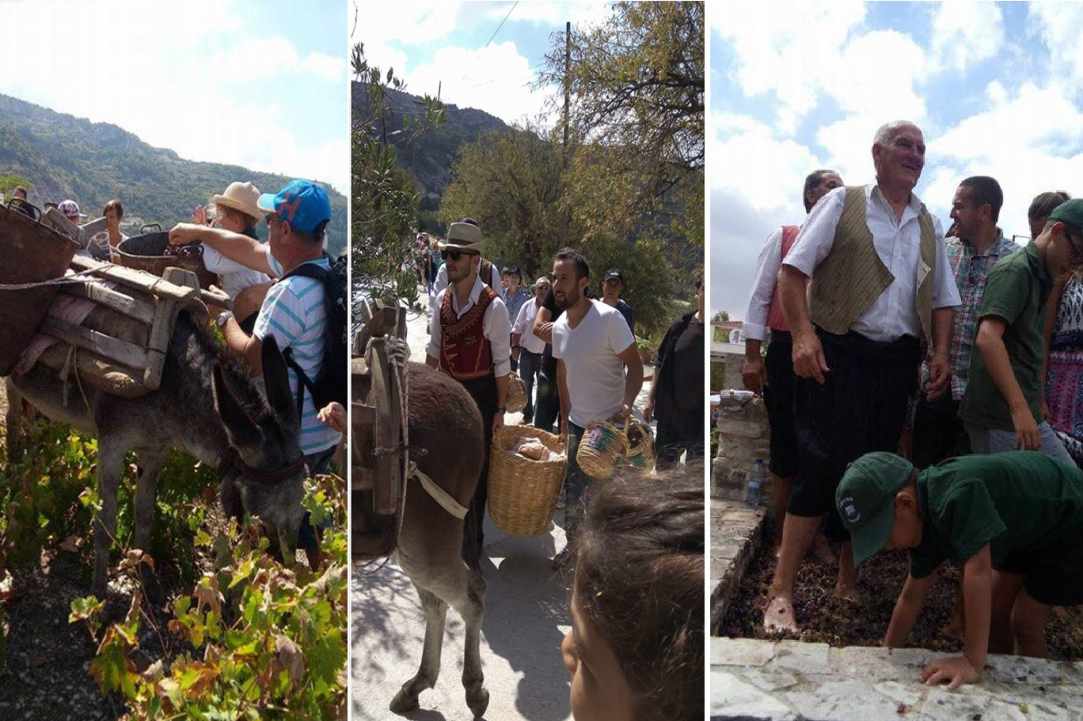 2nd Vine Harvest Festival of Panagia village