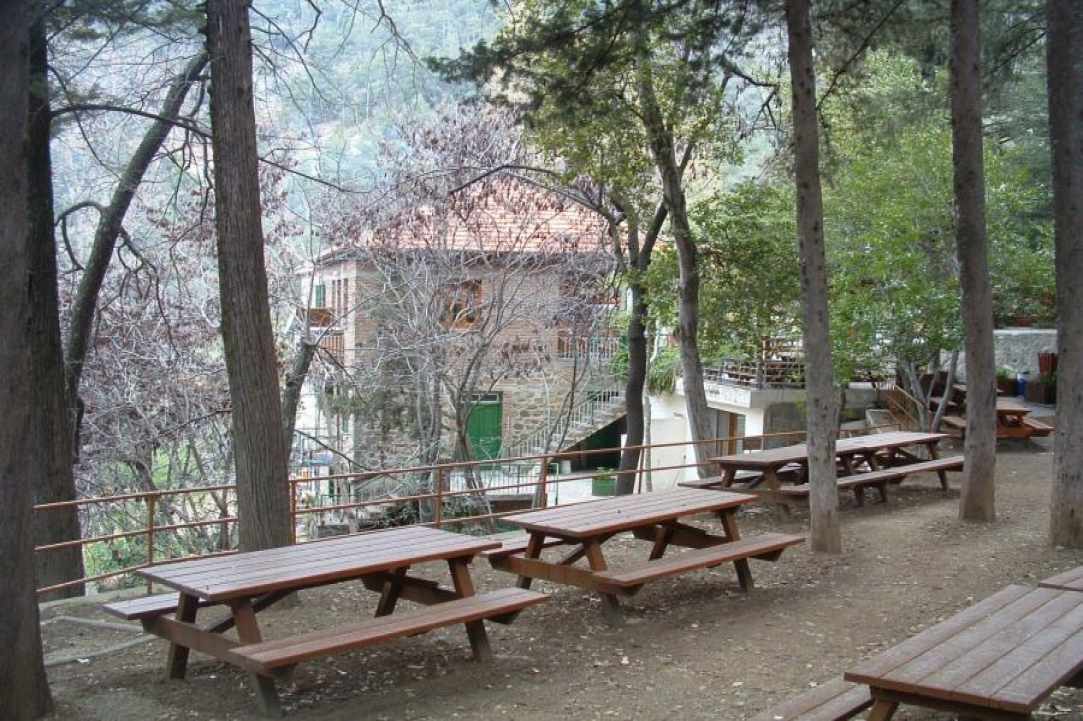 Το Καλοκαίρι ξεκίνησε ώρα για κατασκήνωση στα πανέμορφα δάση της Κύπρου μας! gallery image 2