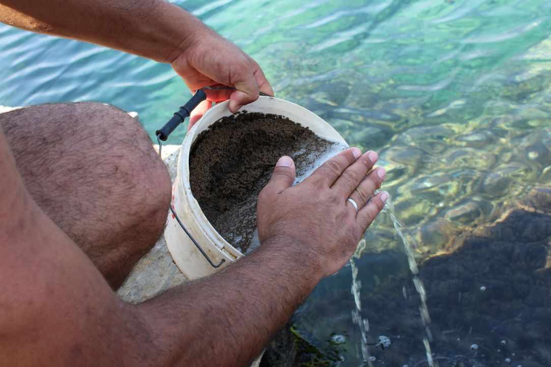 Simple fishing in Cyprus
