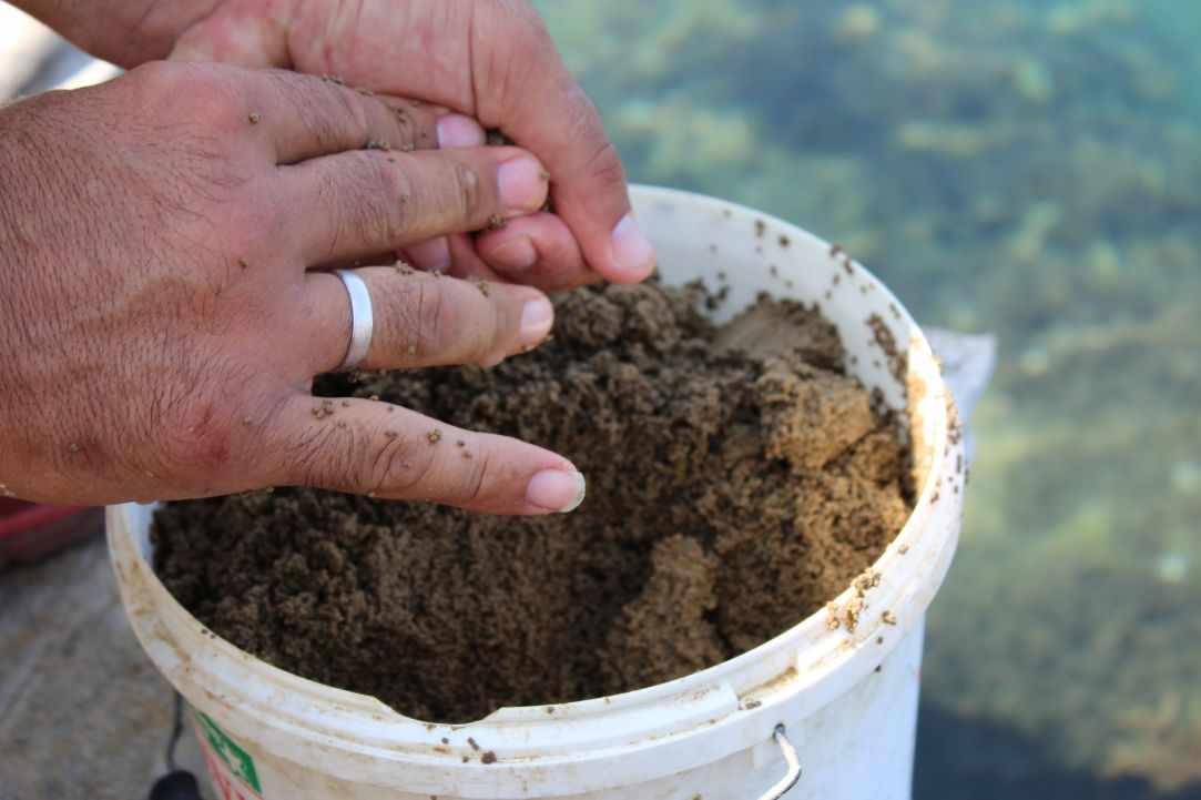 Simple fishing in Cyprus