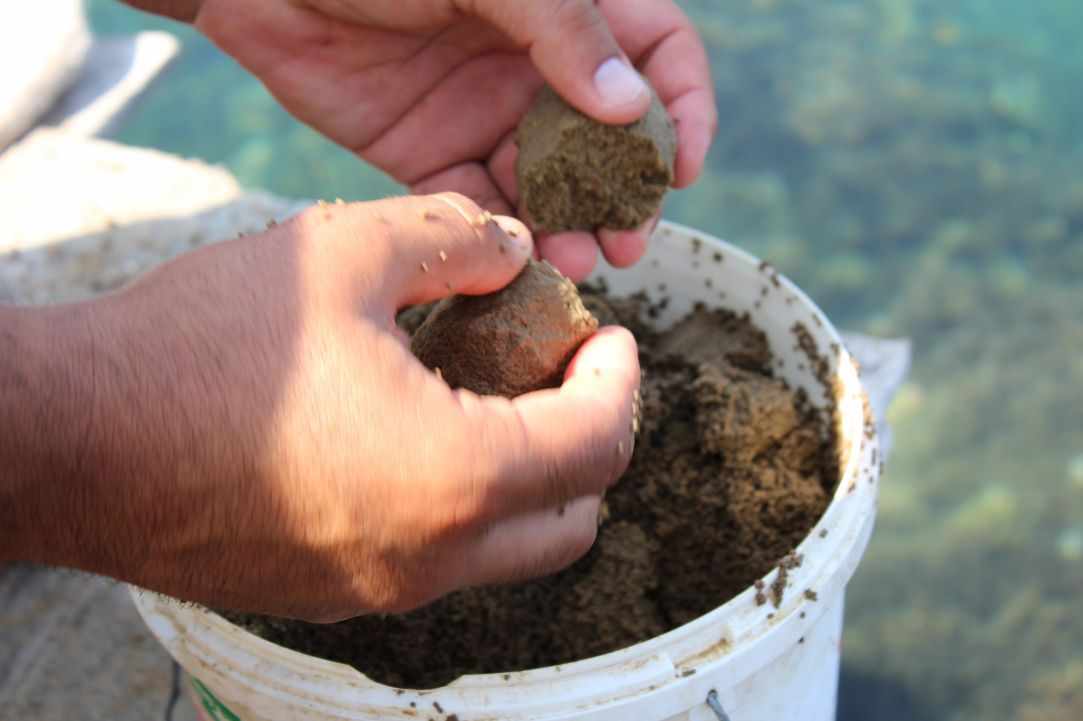 Simple fishing in Cyprus