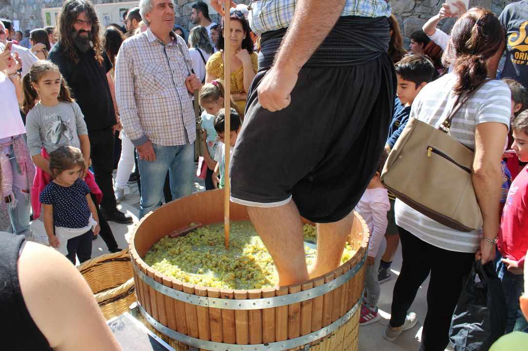 Feast of the Harvest