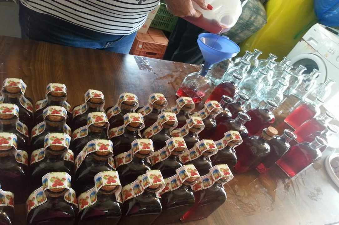 Strawberry Festival 27th of May 2016 - Deryneia