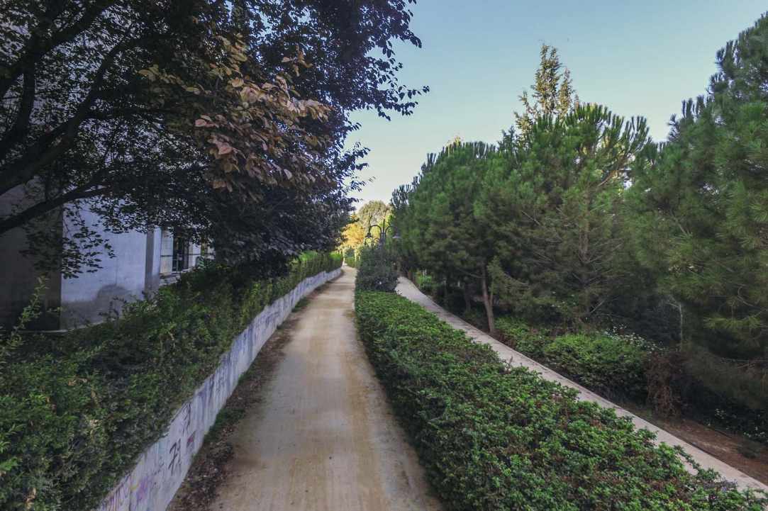 Δημιουργία της “πρώτης πράσινης γειτονιάς” στην Κύπρο 