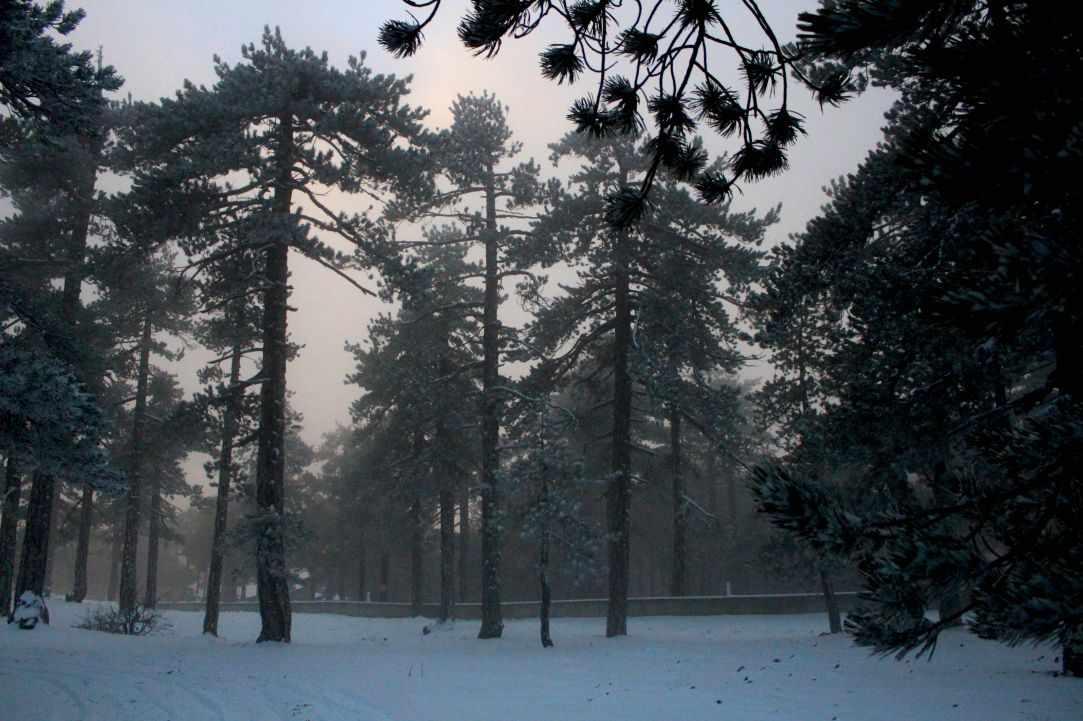 Snowy Mountains of Troodos
