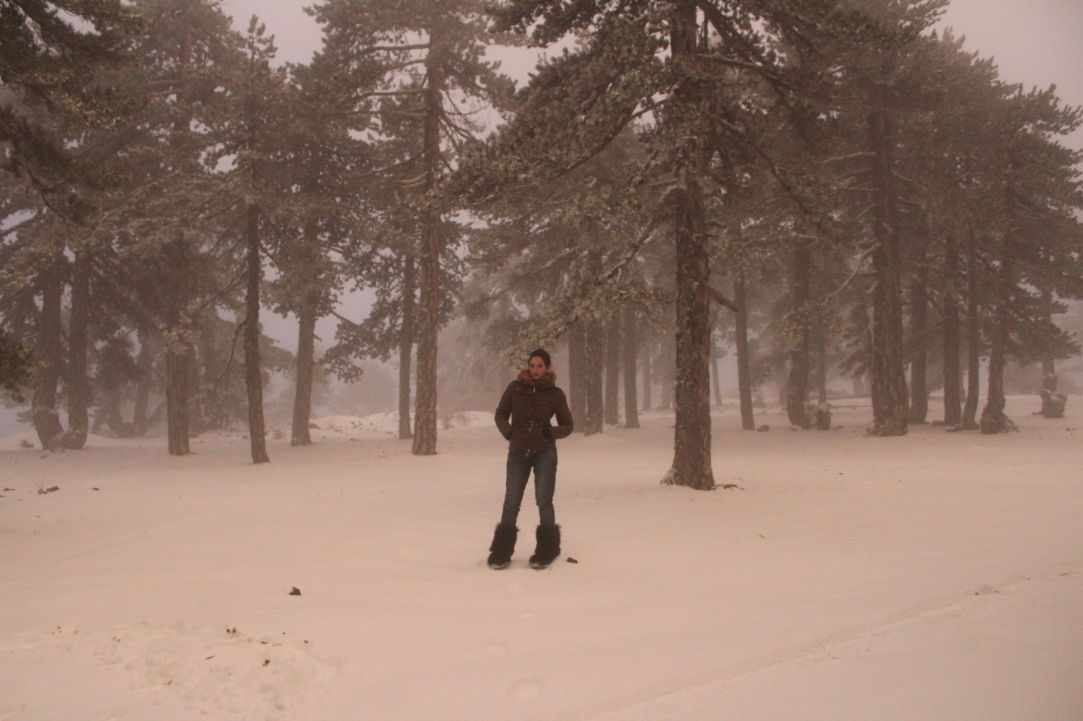 Snowy Mountains of Troodos