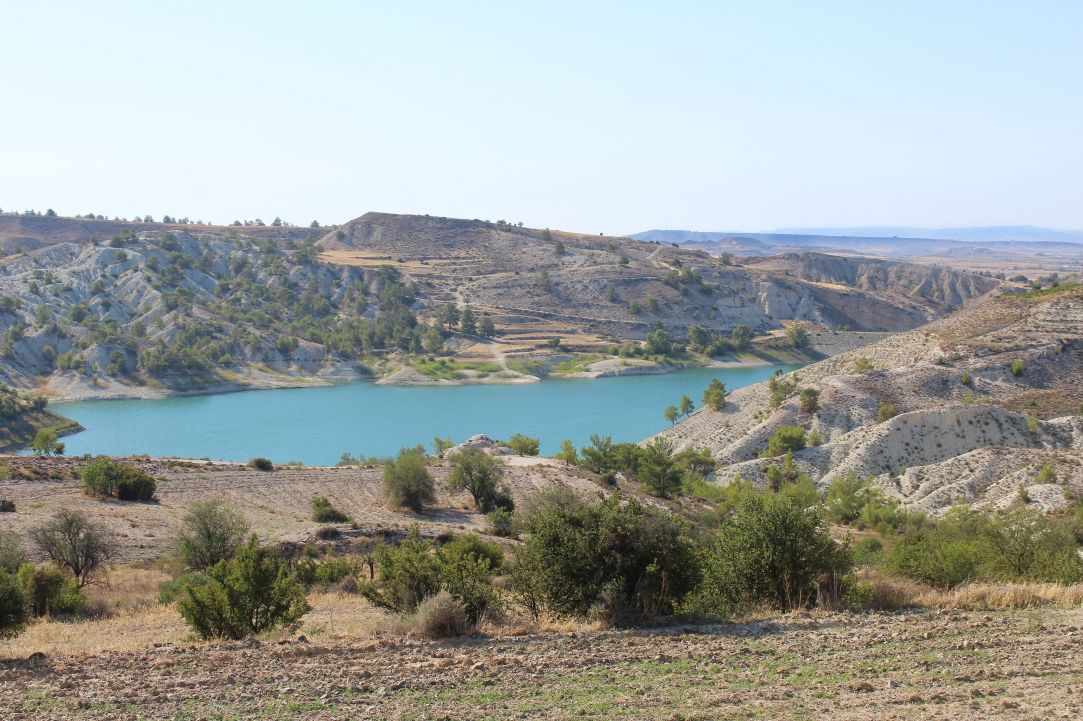 Tamasos Dam